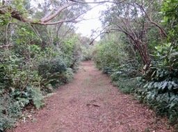 Le sentier &agrave; sa r&eacute;ouverture en 2022