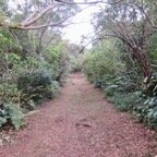 Le sentier &agrave; sa r&eacute;ouverture en 2022