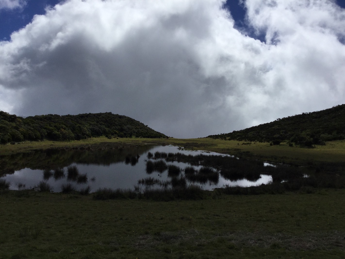 37-rideau-sur-le-piton-des_med_hr