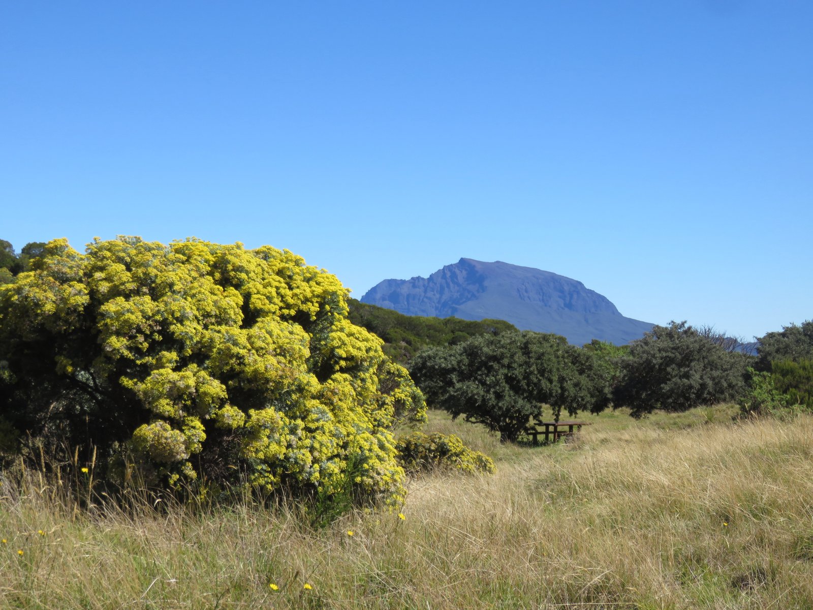 7 Le Piton des Neiges.jpg