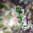 DSC_6477.jpeg
