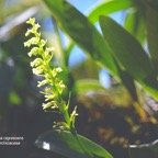 DSC_6563.jpeg