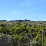 1 Vue du Cratere commerson (plein sud) depuis le sentier vers l'Argamasse.jpg
