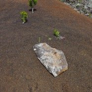 22 Jardin zen.jpg