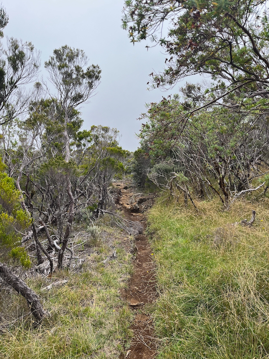 18.Sentier sous les antennes
