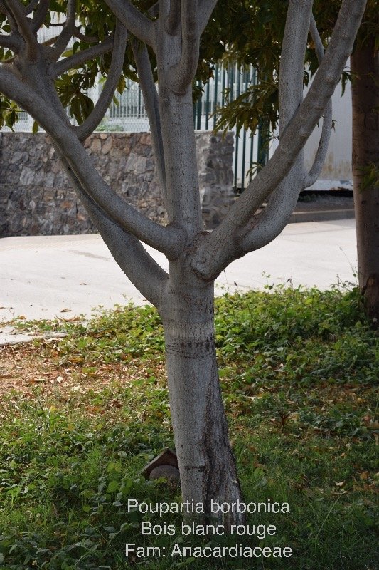 DSC_4901.jpeg