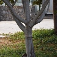 DSC_4901.jpeg