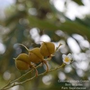 DSC_4903.jpeg