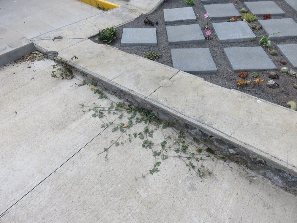 5 La revanche du Becabar sur le beton.jpg