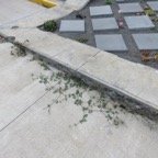 5 La revanche du Becabar sur le beton.jpg