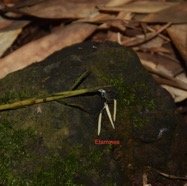 DSC_2725.JPG