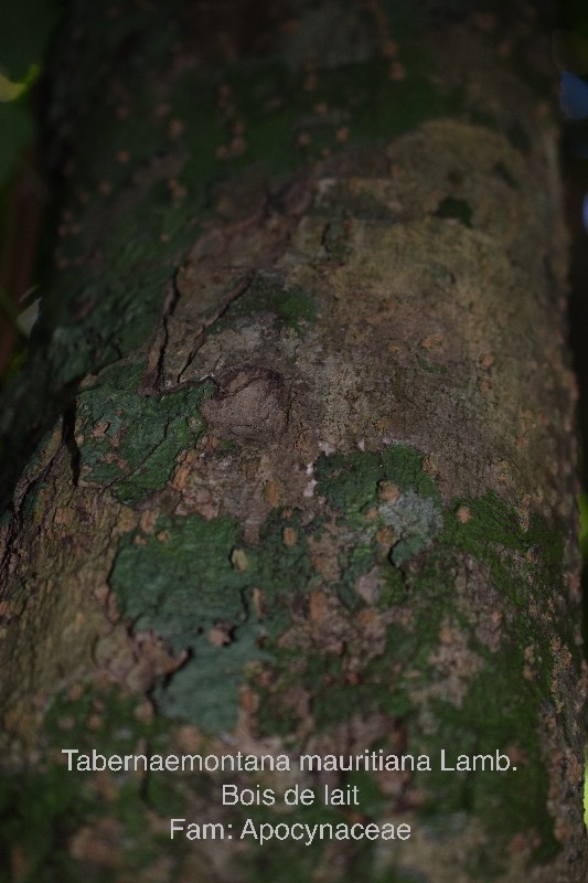 DSC_4657