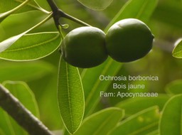 P1020431