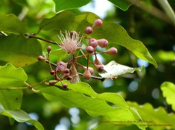 P1130805