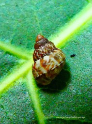 P1130956