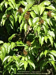 P1140017
