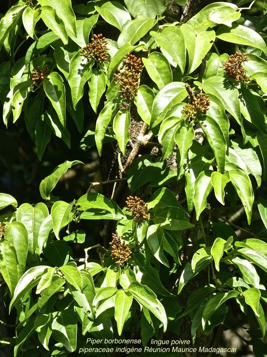 P1140017