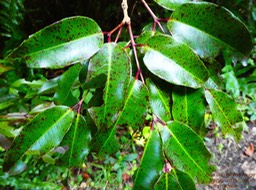 P1140029