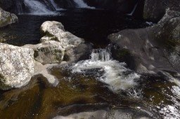 DSC_2889