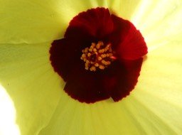 DSCN0043