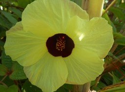 DSCN0046