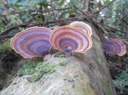 DSCN0056