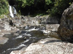 DSCN0113