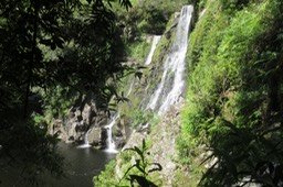 IMG_4004
