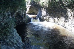DSC06433