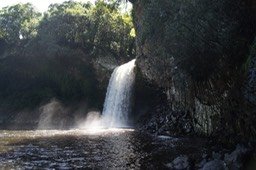 DSC06446