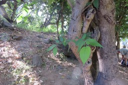 IMG_1855