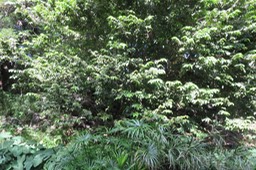 IMG_1857