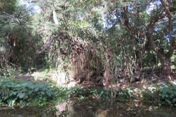 IMG_1859