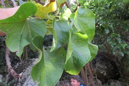 IMG_1869