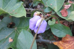 IMG_1879