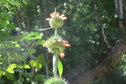 IMG_1906