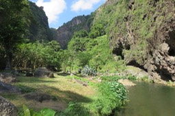 IMG_1912