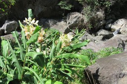 IMG_1948