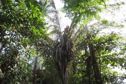 IMG_1958