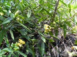P1050843