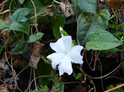 P1050845