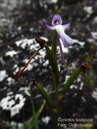 P1010923