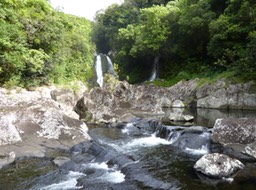 P1010946