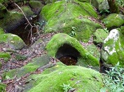 P1080645