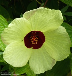P1100596
