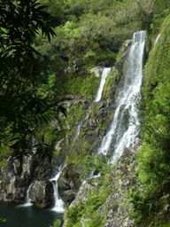 P1100652