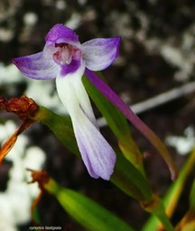P1100677