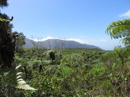 18 Vue vers l'est vers le Cassé de Takamaka