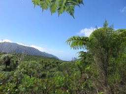 20 Vue vers l'est vers le Cassé de Takamaka