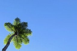 28 De l'éternel azur la sereine ironie